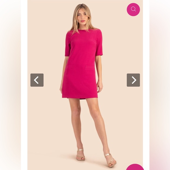 NWT Trina Turk Andromeda 2 Dress in Planetary Pink size 4 - Picture 1 of 10